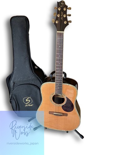 Guitare acoustique greg - acoustique,