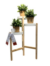 Brand New IKEA SATSUMAS Plant