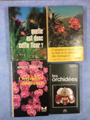 Orchidées fleurs flore - fleurs,,