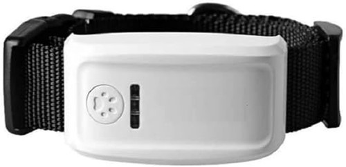 Collier gps traceur - collier,