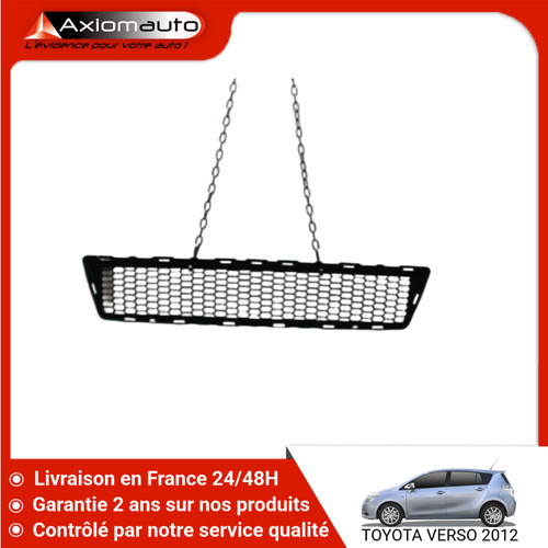 Grille pare choc - 🇫🇷,