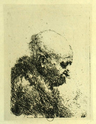 Vieil homme tête chauve - tÊte,
