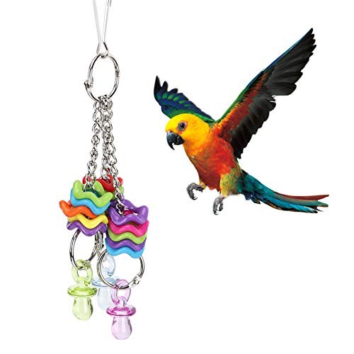 Jouet oiseau non - d'oiseau, toxique