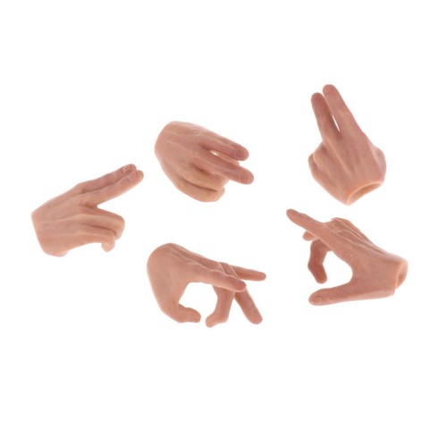 5x1 mâle doigt mains - mâle,