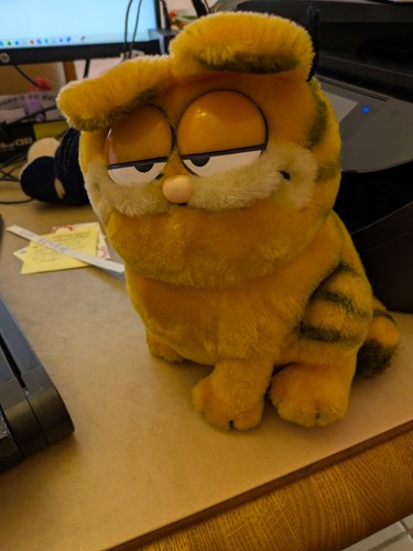 Garfield stuffed animal - garfield,