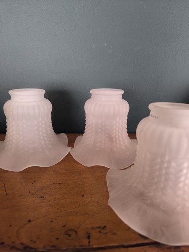 Lot tulipes pour lustre - de,