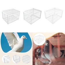 Piège à oiseaux automatique en fer pour pigeons et pigeons à viande