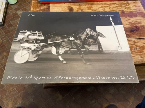 Grande photo vincennes - photo, /m.m