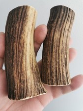 321. Ébauches en corne de