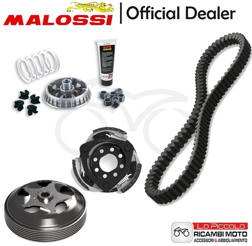 Set malossi variateur - set,