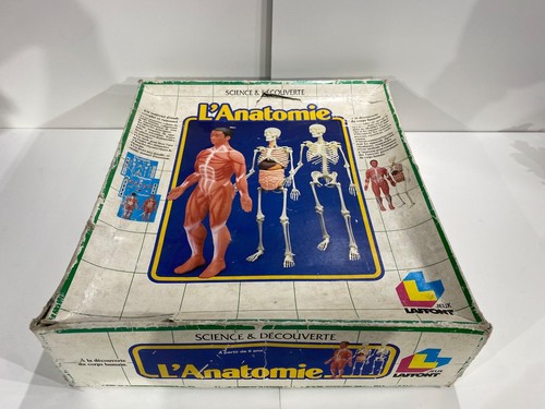 Jeu société anatomie - jeu, l'anatomie