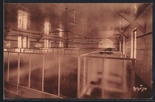 CPA Ile d´Oleron, Maison