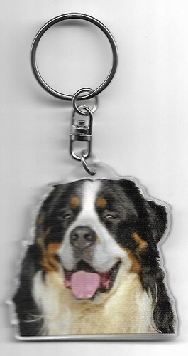 Bouvier bernois chien porte - bouvier,