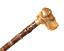 Canne ancienne tête de chien