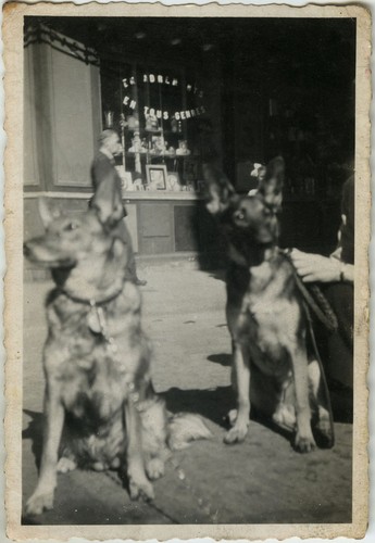 Old photo vintage snapshot - -,