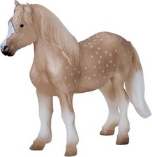 Gallois Poney Ferme Animal