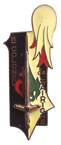 Insigne promo saint cyr - cyr,