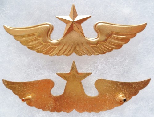 Insigne ailes wing pilote - insigne,