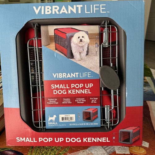 Vibrant life small - life, pop