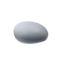 Coque de rétroviseur droite