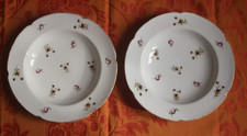 2 assiettes en porcelaine dure