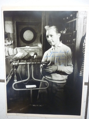 Tintin photo originale de - /,