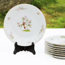 Ensemble de 8 assiettes plates anciennes en porcelaine fine de Sologne Lamotte