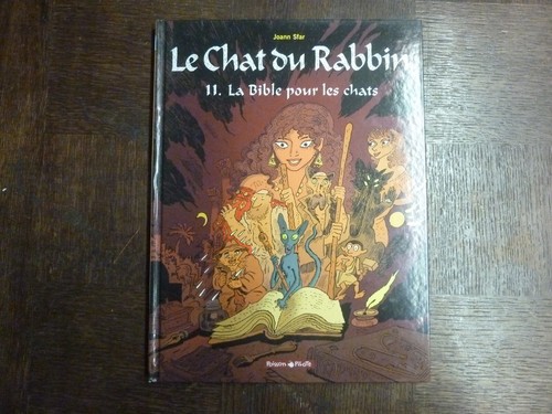 Chat rabbin t11 - chat,