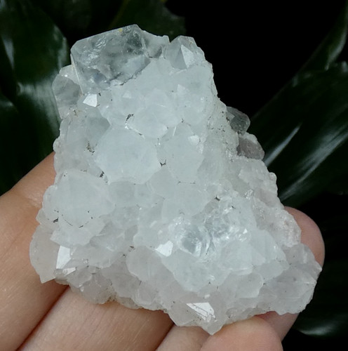 Quartz fluorite bleu uv - bleu, le