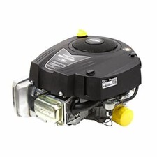 Briggs & Stratton Intek