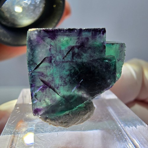 Spécimen cube fluorite - de,