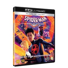 Spider-Man: Across the