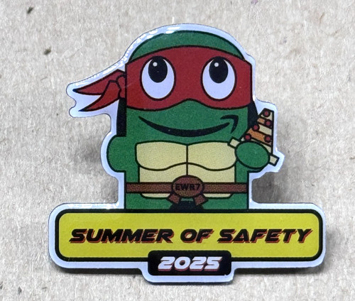 Ninja turtle summer safety - ninja,