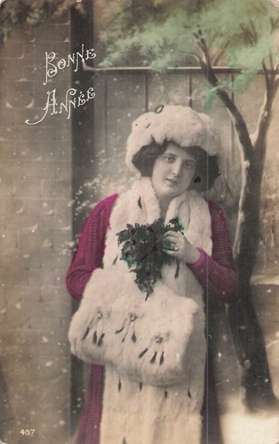 Bonne annee femme manchon - annee,