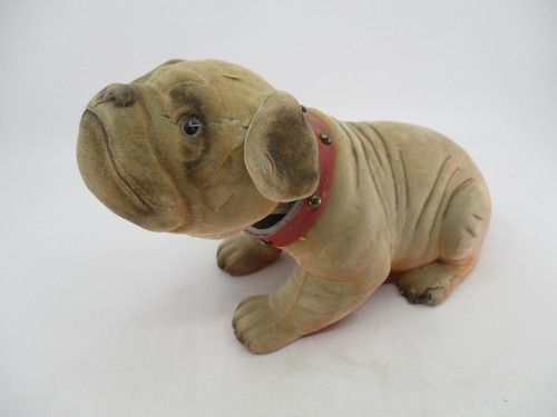 Ax725 rasko bouledogue - rasko, tete