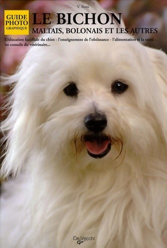Bichon maltais bolonais - :,