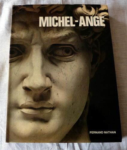 Livre michel ange - livre,