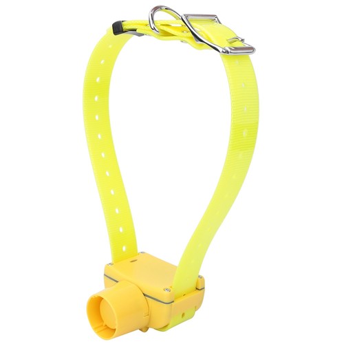 Collier dressage - 1,