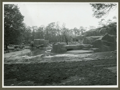 France parc zoologique du - france,,