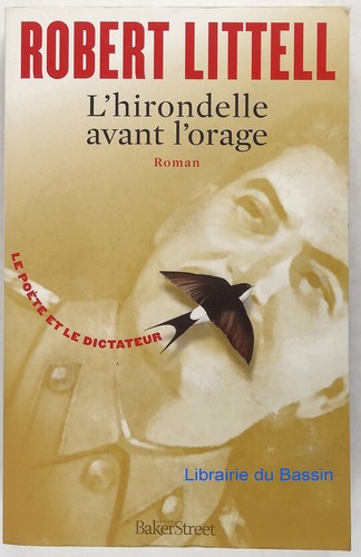 Hirondelle avant orage - avant, l'orage