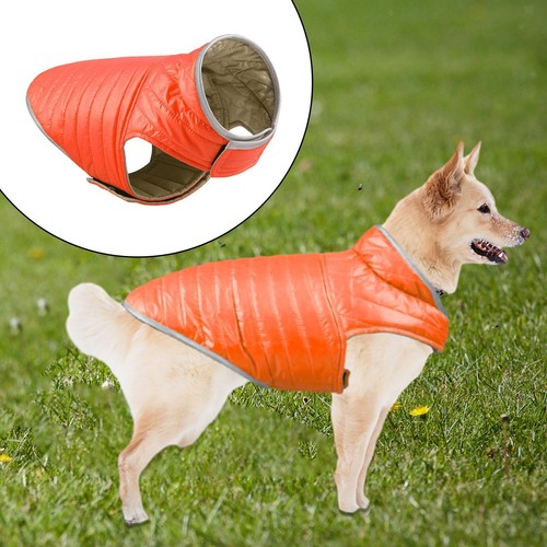 Vêtements pour animaux - vêtements,
