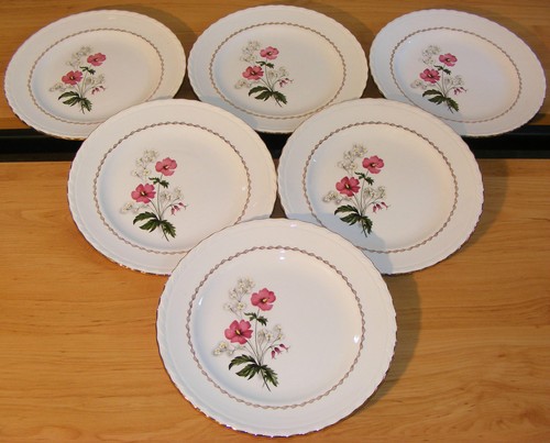 Assiettes plates faïence - plates,