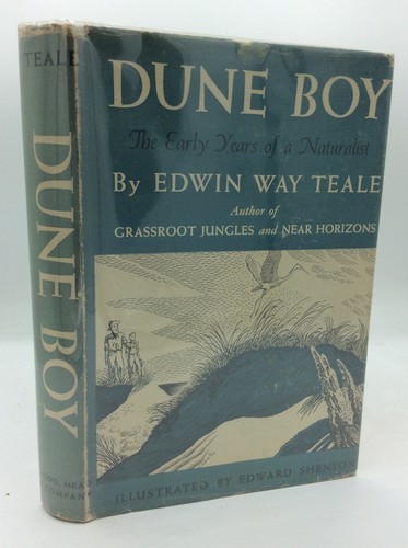 Dune boy edwin - boy,
