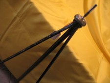 PRIX EN BAISSE :  RARE CANNE