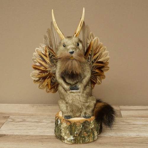 Wolpertinger murmel préparat - murmel,