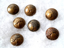 7 boutons doré militaire