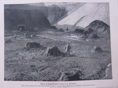 1903 naturel histoire - 1903,