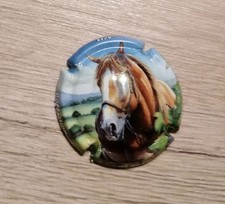 Capsule de vin pétillant