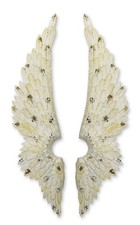 Une paire d'ailes d'ange à