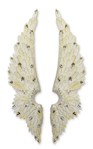 Une paire ailes ange à - une,